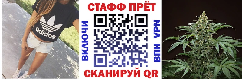 Где можно купить наркотики Новая Ладога Cocaine  А ПВП  ГАШ  АМФЕТАМИН  Меф мяу мяу  МАРИХУАНА 