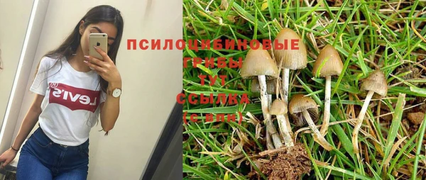трава Алексин