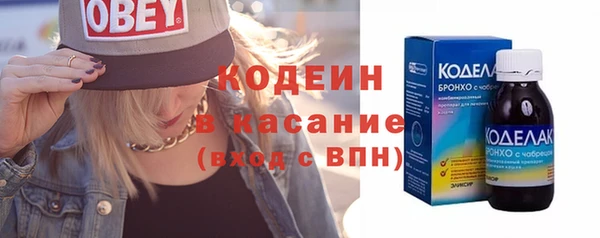 индика Протвино