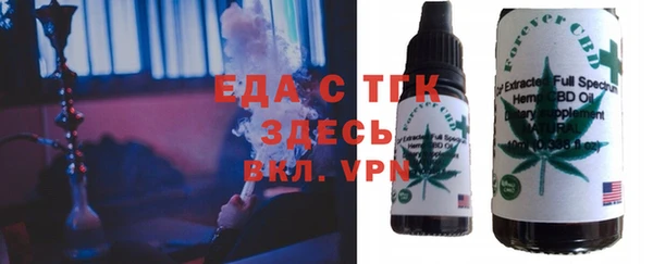 индика Протвино