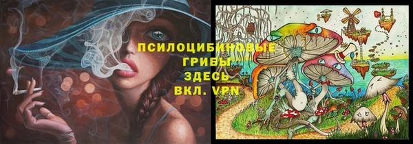 мяу мяу мука Алексеевка
