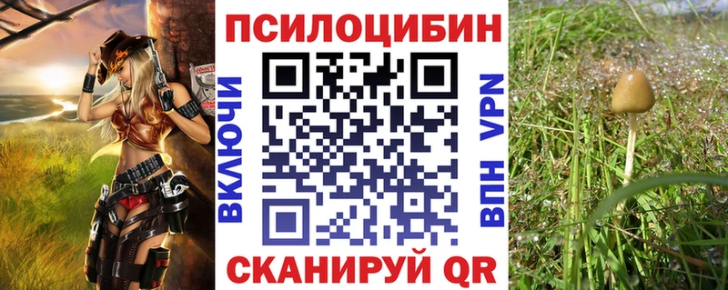 Псилоцибиновые грибы прущие грибы  сколько стоит  Новая Ладога 