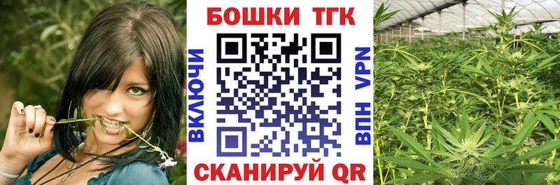 Бошки марихуана THC 21%  Новая Ладога 